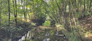 IMG-20220905-WA0065